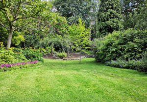 Optimiser l'expérience du jardin à Montigny-en-Ostrevent